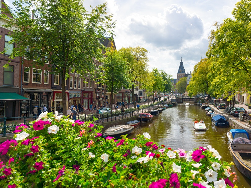 Summer scene of an Amsterdam canal with colorful flowers in the foreground, boats on the water, and stately canal houses under a slightly cloudy sky.